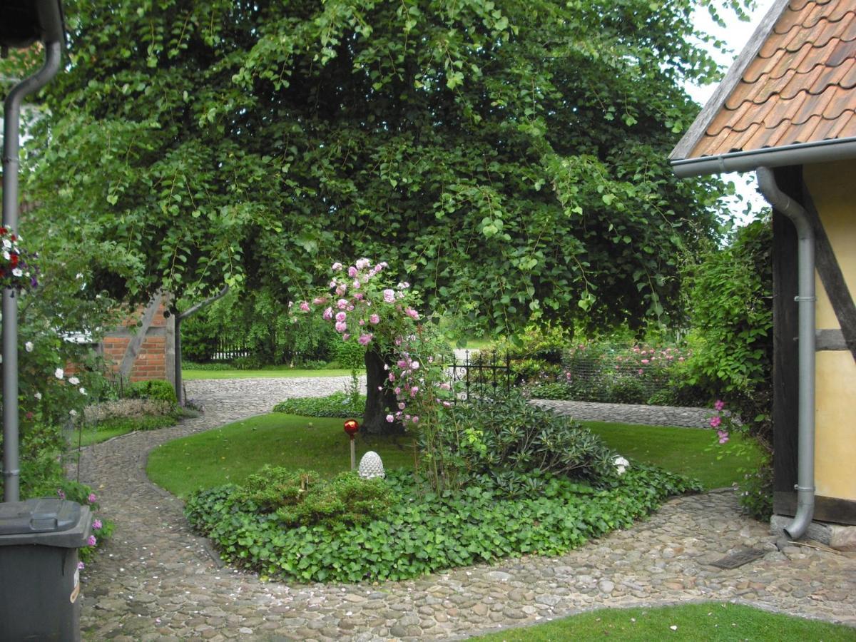Landhaus Kiesow Suderburg Εξωτερικό φωτογραφία